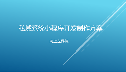 私域系统小程序开发制作方案